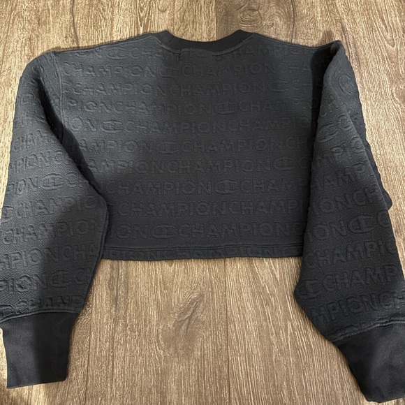 Champion Dark grey Cropped Crewneck Sweatshirt(Small) - Picture 2 of 3